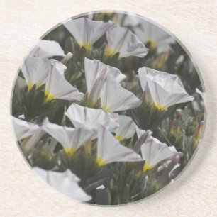 Dessous De Verre En Grès Fleurs sauvages blancs