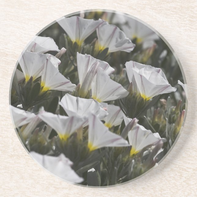 Dessous De Verre En Grès Fleurs sauvages blancs (Devant)