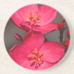 Dessous De Verre En Grès Fleurs tropicales rouges et roses de Fidji