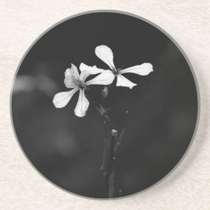 Dessous De Verre En Grès floral noir et blanc minimaliste