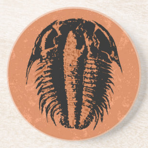 Dessous De Verre En Grès Fossile Trilobite de Modocia Typicalis