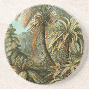 Dessous De Verre En Grès Fougères Palmier Antique Botanique Fougères Art