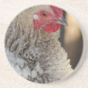 Dessous De Verre En Grès Frizzle Rooster