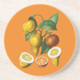 DESSOUS DE VERRE EN GRÈS FRUITS DE CITRÉ