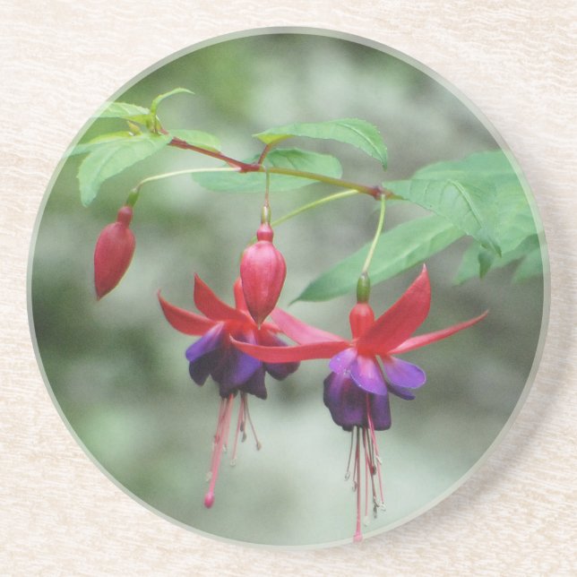 Dessous De Verre En Grès Fuschia1A.jpg (Devant)