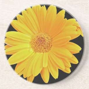 Dessous De Verre En Grès Gerbera Daisy (Gerbera hybrida) - Jaune