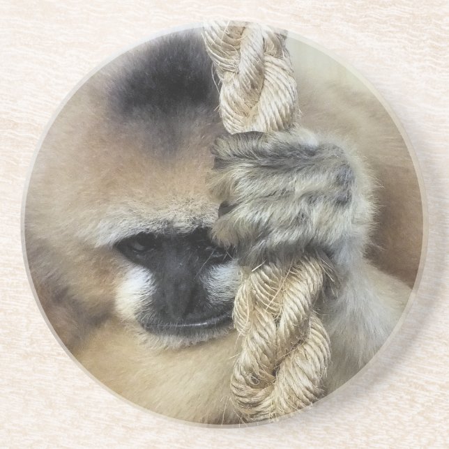 DESSOUS DE VERRE EN GRÈS GIBBON (Devant)