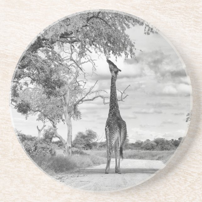 Dessous De Verre En Grès Giraffe sur la route (Devant)