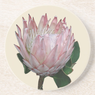Dessous De Verre En Grès Glace à la fleur de protea