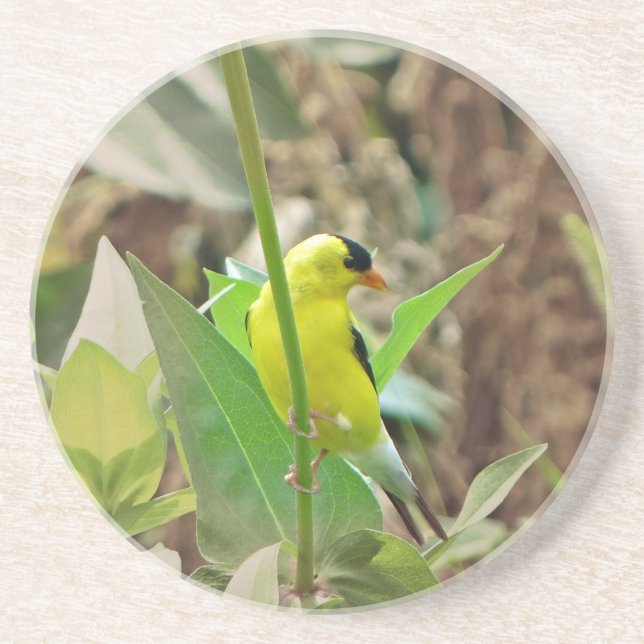 Dessous De Verre En Grès Goldfinch (Devant)