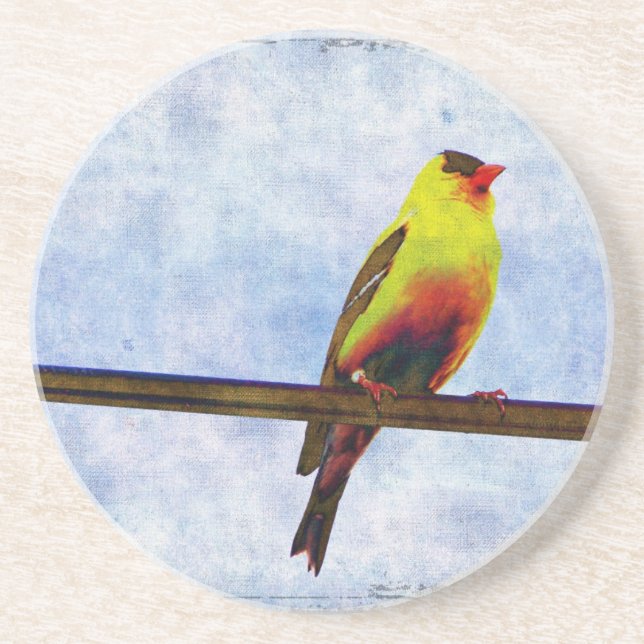 Dessous De Verre En Grès Goldfinch sur ligne électrique (Devant)