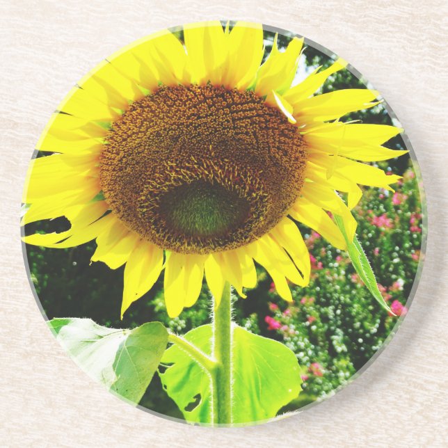 Dessous De Verre En Grès Grand tournesol jaune (Devant)