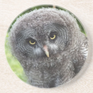 DESSOUS DE VERRE EN GRÈS GRAY OWL