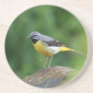 Dessous De Verre En Grès Gray Wagtail - oiseau
