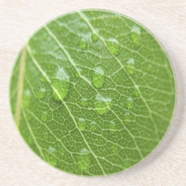 Dessous De Verre En Grès Green leaf (Devant)