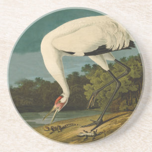 Dessous De Verre En Grès Grue blanche Audubon Peinture d'oiseaux