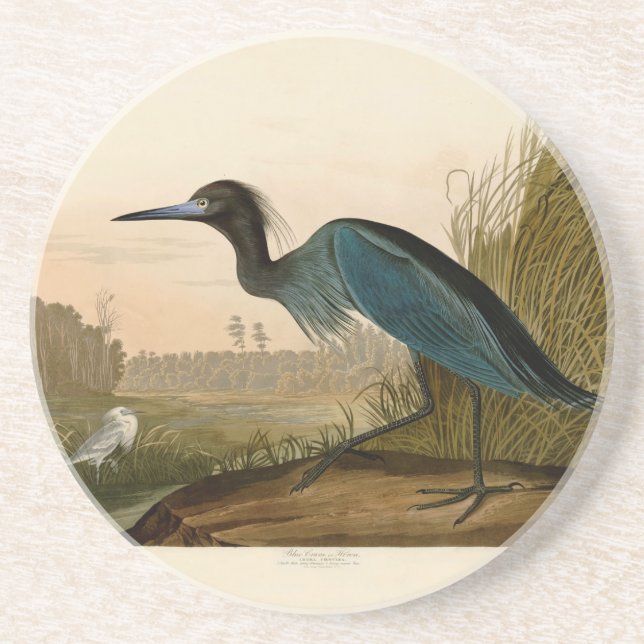 Dessous De Verre En Grès Grue Bleue Heron Audubon Peinture (Devant)