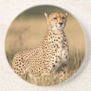 Dessous De Verre En Grès Guépard sur un petit monticule pour une meilleure 