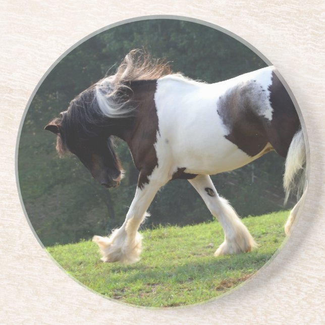 Dessous De Verre En Grès Gypsy Vanner (Devant)