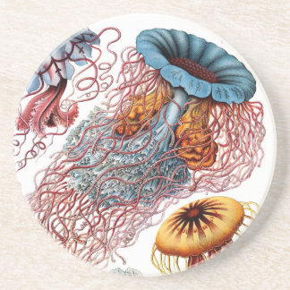 Dessous De Verre En Grès Haeckel