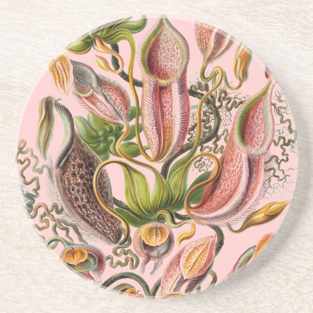 Dessous De Verre En Grès Haeckel (Devant)