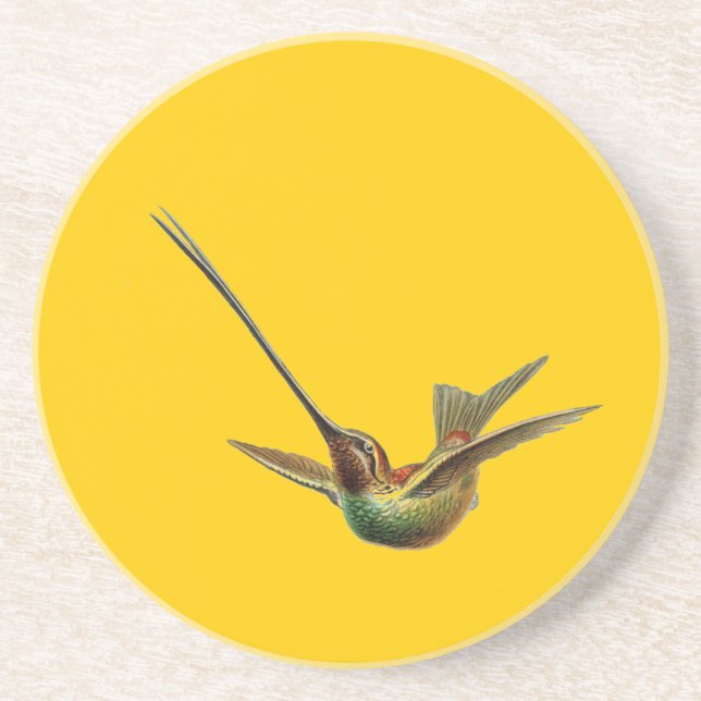 Dessous De Verre En Grès Haeckel Bird (Devant)