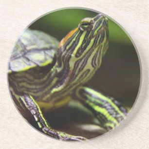 Dessous De Verre En Grès Haut étroit de tortue
