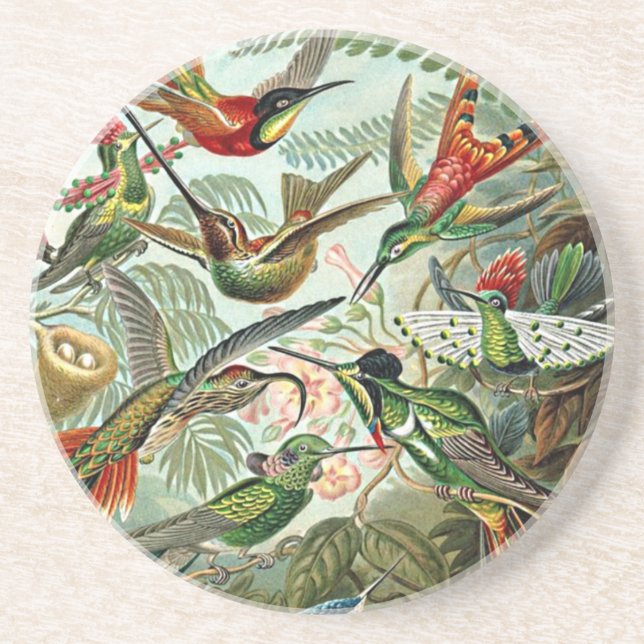 Dessous De Verre En Grès Heackel Nature Art Design Oiseau Hummingbirds (Devant)