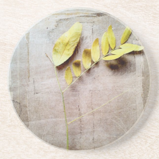 Dessous De Verre En Grès Herbarium V (Devant)