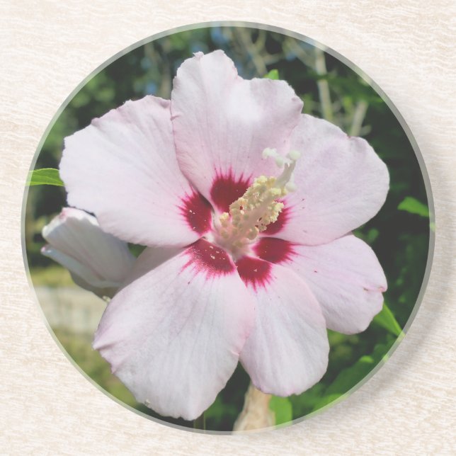 Dessous De Verre En Grès Hibiscus (Devant)