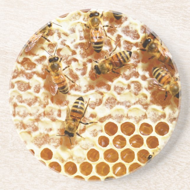 DESSOUS DE VERRE EN GRÈS HONEY BEES (Devant)