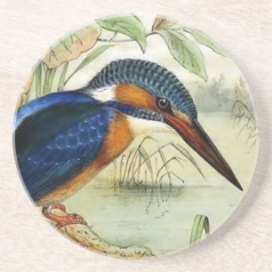 Dessous De Verre En Grès Illustration vintage d'oiseau de martin-pêcheur