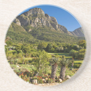 Dessous De Verre En Grès Jardins botaniques de Kirstenbosch, Le Cap