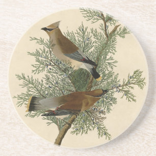 Dessous De Verre En Grès Jaseur d'Audubon
