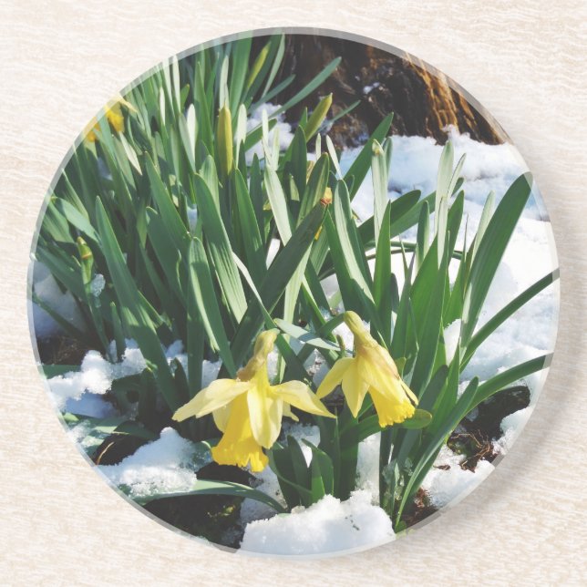 Dessous De Verre En Grès Jaune Daffodils fleurs dans la neige (Devant)