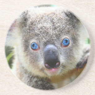 Dessous De Verre En Grès Koala Bears