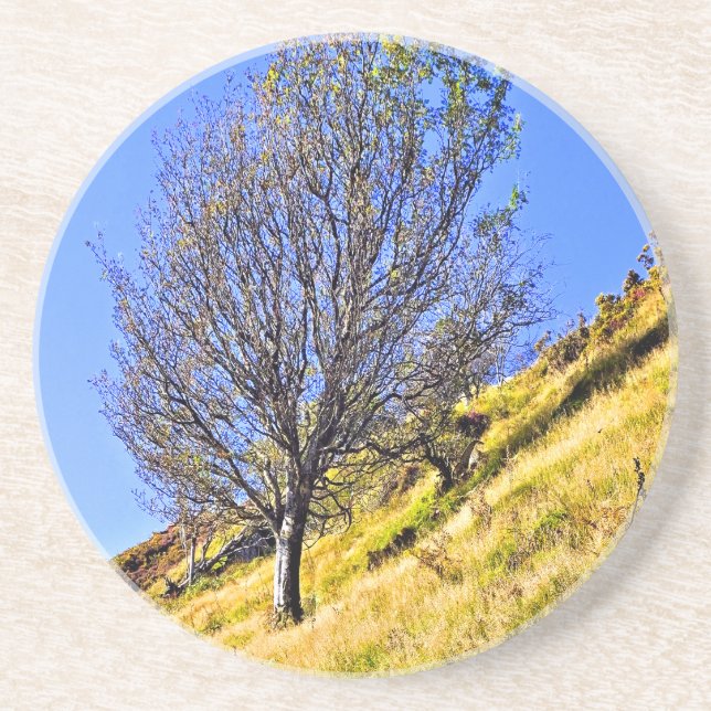 DESSOUS DE VERRE EN GRÈS L0NE TREE (Devant)