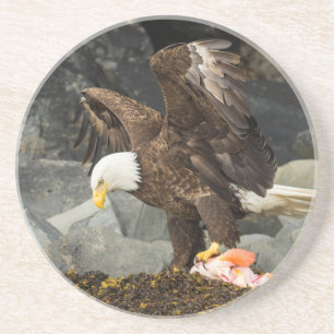 Dessous De Verre En Grès L'aigle chauve ultime