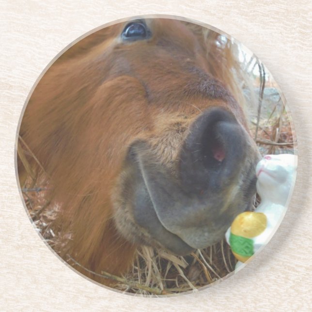 Dessous De Verre En Grès Lapin de Pâques et cheval Brown (Devant)