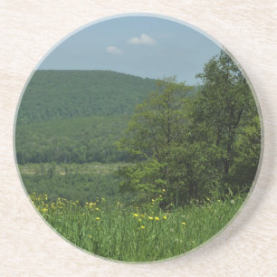 Dessous De Verre En Grès Laurel Highlands Pennsylvanie Photographie d'été