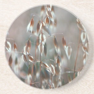 Dessous De Verre En Grès L'avoine mûre (Avena Sativa) Ferme. Ceres, Boland