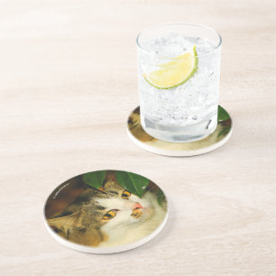 Dessous De Verre En Grès Le chat Whimsical et la Camellia