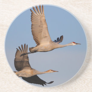 Dessous De Verre En Grès le sandhill tend le cou en vol