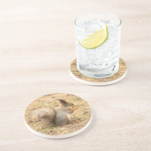 Dessous De Verre En Grès L'écureuil mignon mange une photo de noix
