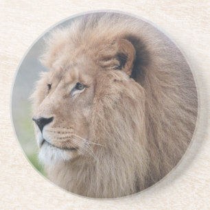 Dessous De Verre En Grès L'Embrace du lion