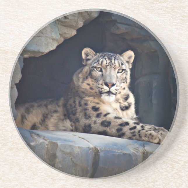Dessous De Verre En Grès Léopard des neiges (Devant)
