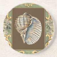 Les petites coquilles de sirène