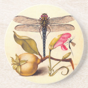 Dessous De Verre En Grès Libellule Nature Botanique Faune