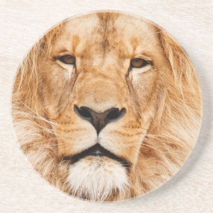 Dessous De Verre En Grès Lion