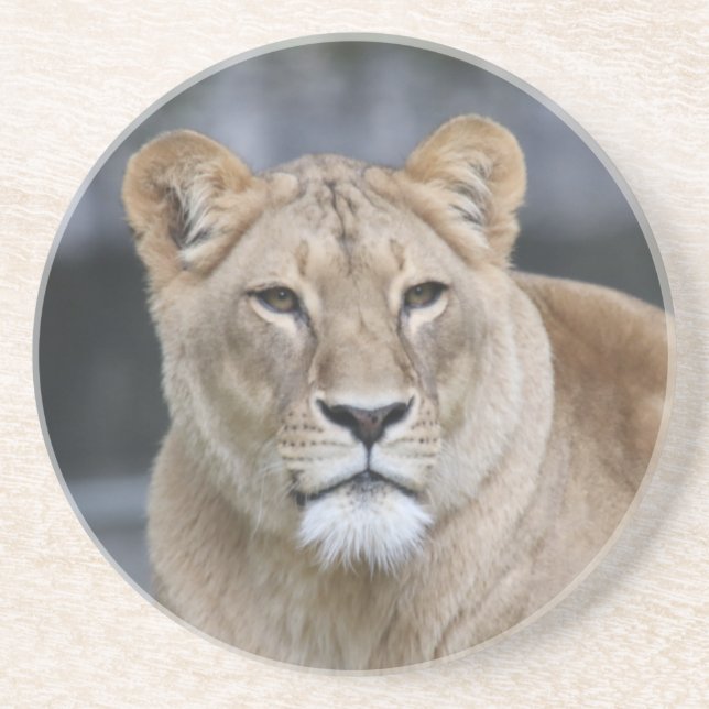 Dessous De Verre En Grès Lion 004 (Devant)